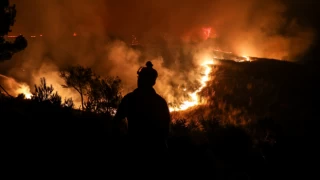 Çanakkale'deki orman yangınının ilerlemesi durduruldu