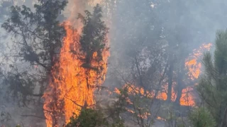 Eskişehir'deki yangının şüphelisi serbest bırakıldı