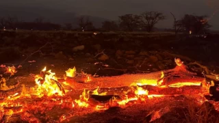 Hayatını kaybedenlerin sayısı her gün artıyor: Hawaii'deki orman yangınlarında son durum