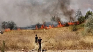 İstanbul Büyükçekmece'de orman yangını