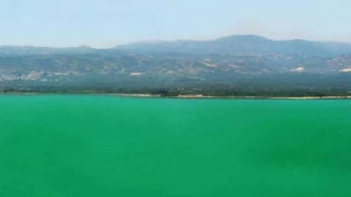 İznik Gölü'nde alg patlaması: Turkuaza büründü