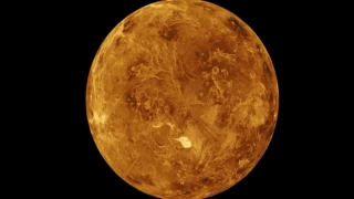 Kavurucu sıcağa maruz kalan Venüs'te yaşam belirtisi