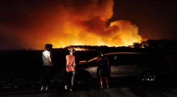 Portekiz’de orman yangını; binlerce hektarlık alan kül oldu