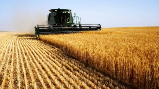 Tarımda üretici enflasyonu temmuzda yüzde 62,5'e yükseldi