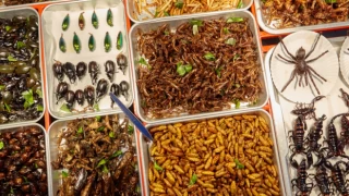 Böcek yemenin metabolizmaya faydası keşfedildi