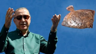 Cumhurbaşkanı Erdoğan’ın en sevdiği balık kalkan ne kadar? Kalkan balığını kilosu kaç para?