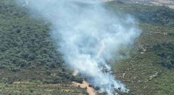 İzmir Foça’da orman yangını çıktı