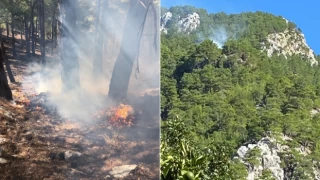 Muğla'nın Köyceğiz ilçesinde orman yangını çıktı
