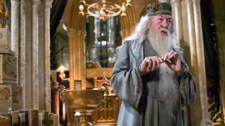 Profesör Dumbledore rolüyle bilinen Michael Gambon kimdir? Kaç yaşında, neden öldü? Harry Potter oyuncusu Michael Gambon'un biyografisi