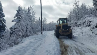 Trabzon ve Rize'de kar nedeniyle 14 yerleşim yerinin yolu ulaşıma kapandı