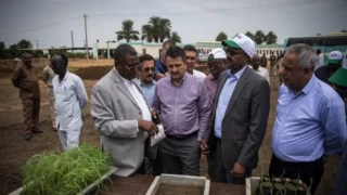 AK Parti'nin Sudan’daki tarım projesi iflas etti