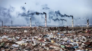 Çevreyi kirletenlere 2024'te verilecek cezalar belli oldu