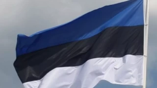 Estonya, sığınmacıları ülkelerine göndermeye hazır