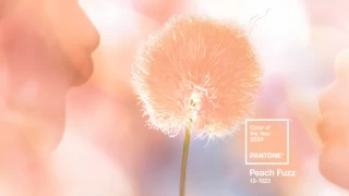 Pantone, 2024’ün rengini açıkladı: “Şeftali Tüyü”