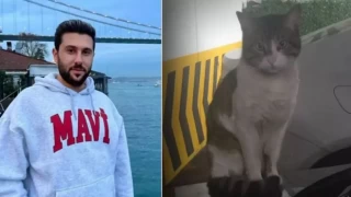 Ahmet Hakan kedi katili için veryansın etti: "İbrahim Keloğlan denilen bu adama bu sefer hak ettiğini verin!"