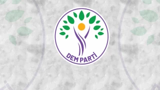 DEM Parti Diyarbakır Büyükşehir Eş Başkan adayı gözaltına alındı