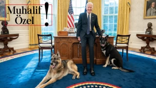 Joe Biden’ın Beyaz Saray’ı kana bulayan köpeği ‘Komutan’