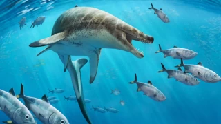 66 milyon yıllık tehlikeli bir deniz kertenkelesi fosili bulundu