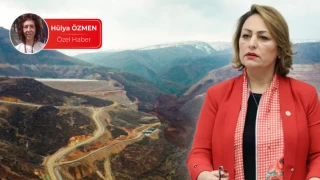 CHP’li Şevkin, İliç Maden Ocağı için 12 maddelik rapor hazırladı