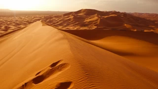 Kayıp bir dünya bulunuyor: Sahra Çölü'nün altında neler var?