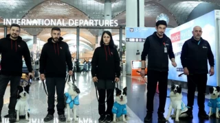 Türkiye'de ilk: İstanbul Havalimanı'nda uçuş stresine köpekli önlem