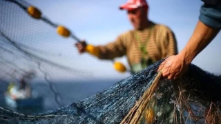 Bakan açıkladı: Balıkçılık av sezonu 15 Nisan’da kapanıyor