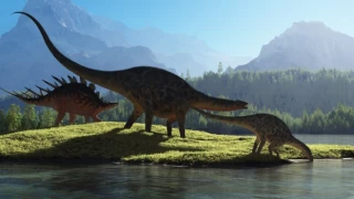 Dinozorların büyüklüğünün iklimle belirlenmediği ortaya çıktı