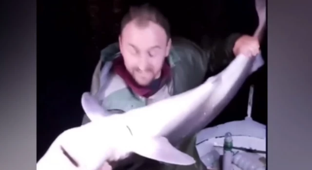 Karadenizli balıkçı köpek balığını ısırdı: O anları video olarak kaydetti