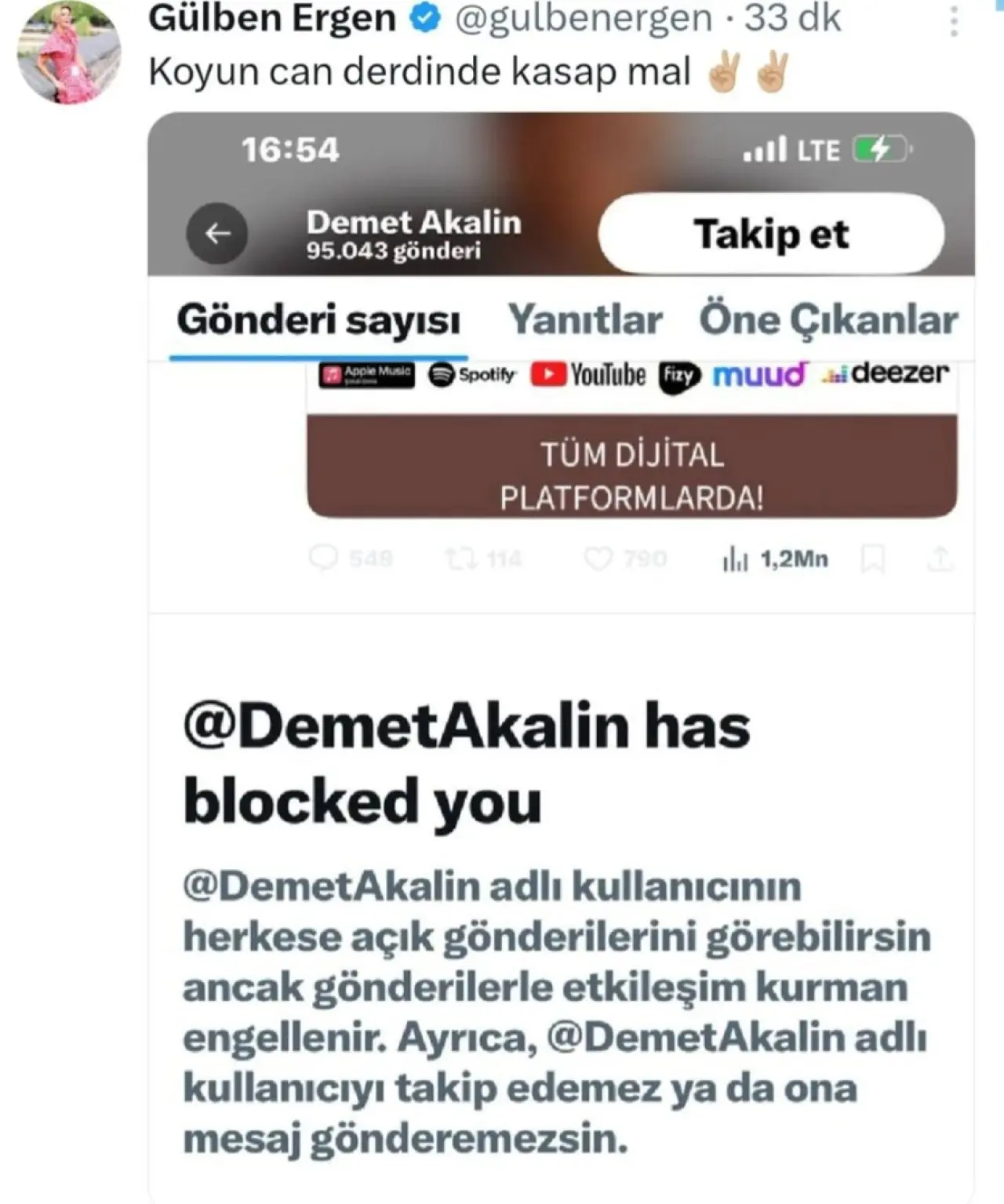 Gülben Ergen ve Demet Akalın arasında kriz: "Koyun can derdinde, kasap mal" 2