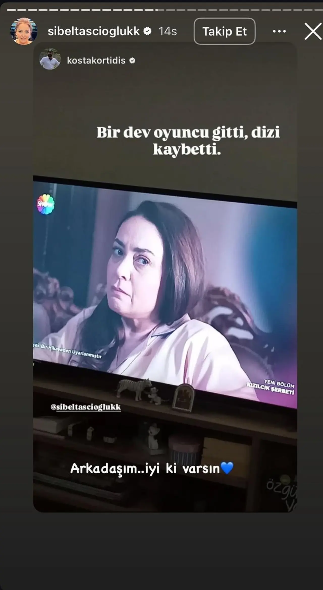 Kızılcık Şerbeti'nden ayrılan Sibel Taşçıoğlu'ndan göndermeli paylaşım 8