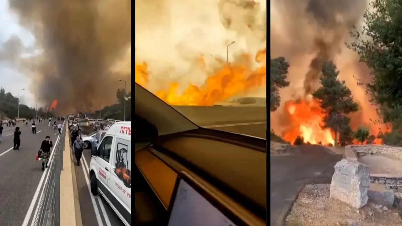 İsrail'de orman yangınları ülkeyi sardı: Uluslararası yardım talep edildi 5