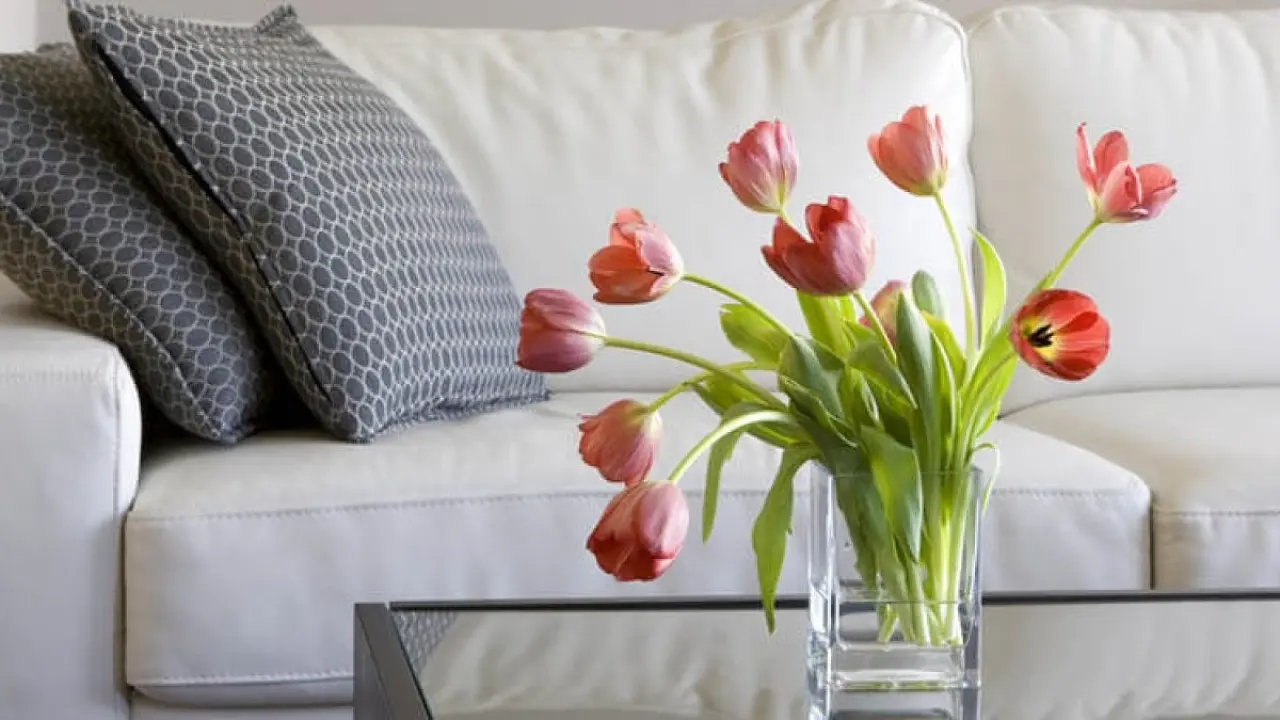 Yatak odasında bulunmaması gereken 5 eşya 2