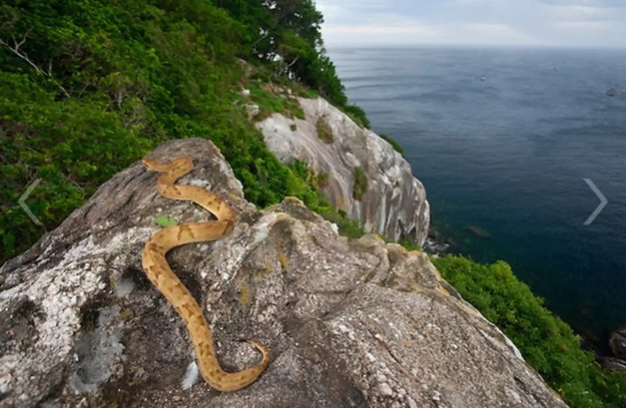Tehlikenin cazibesi: Turistlerin akın ettiği en riskli yerler 12