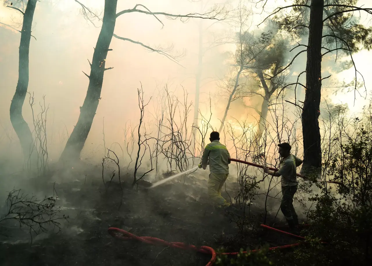 İzmir’de orman yangınları sürüyor: Buca, Ödemiş ve Çeşme’de son durum 1