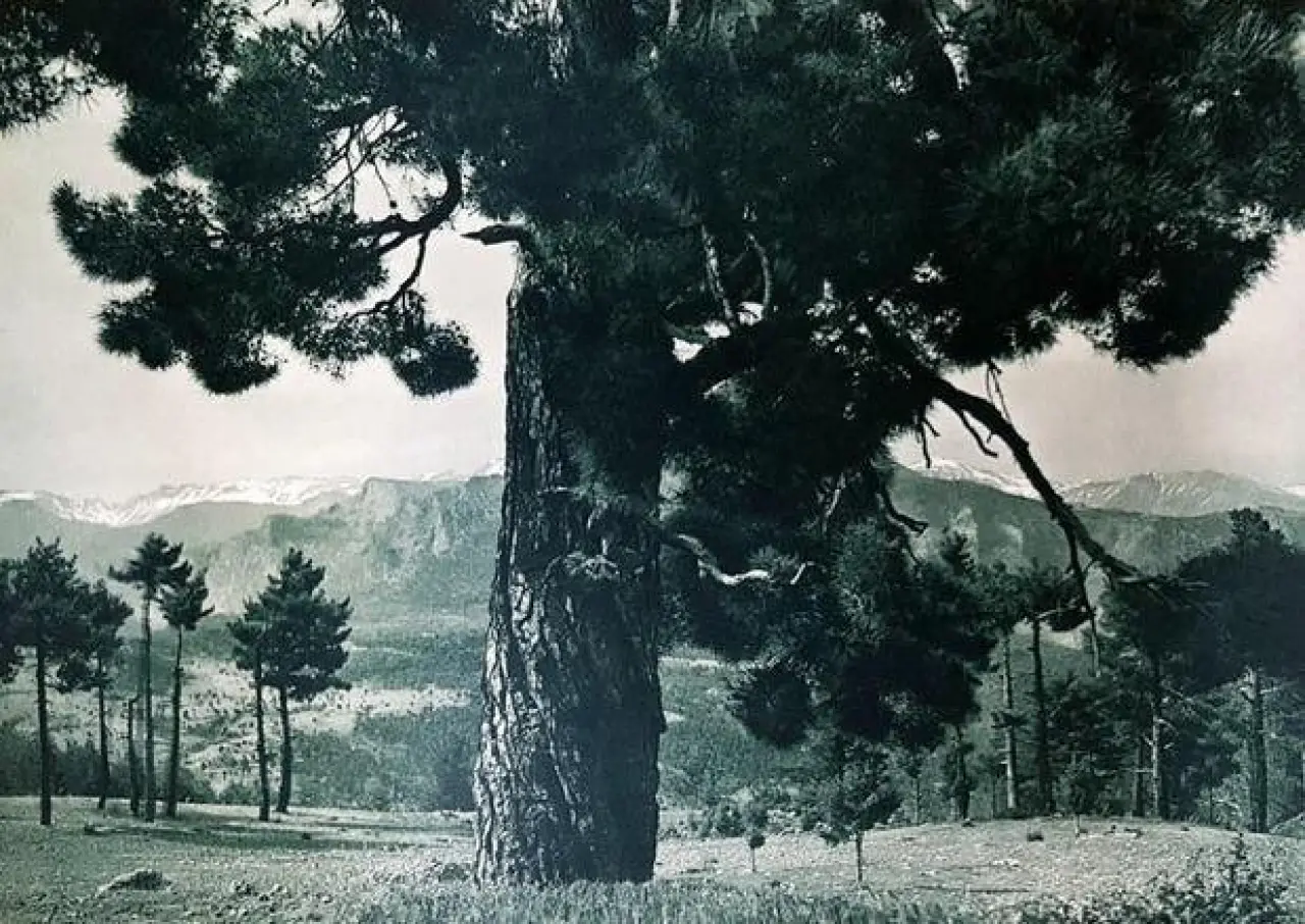 1936’da Atatürk’ün gözüyle Türkiye: 20 efsane fotoğraf 11