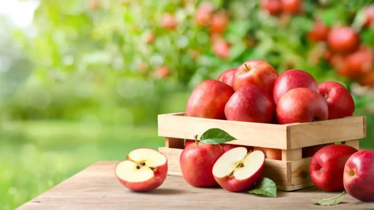 Sabahları yiyince göbek yağlarını yakıyor: Kilo vermeyi kolaylaştıran meyveler 2