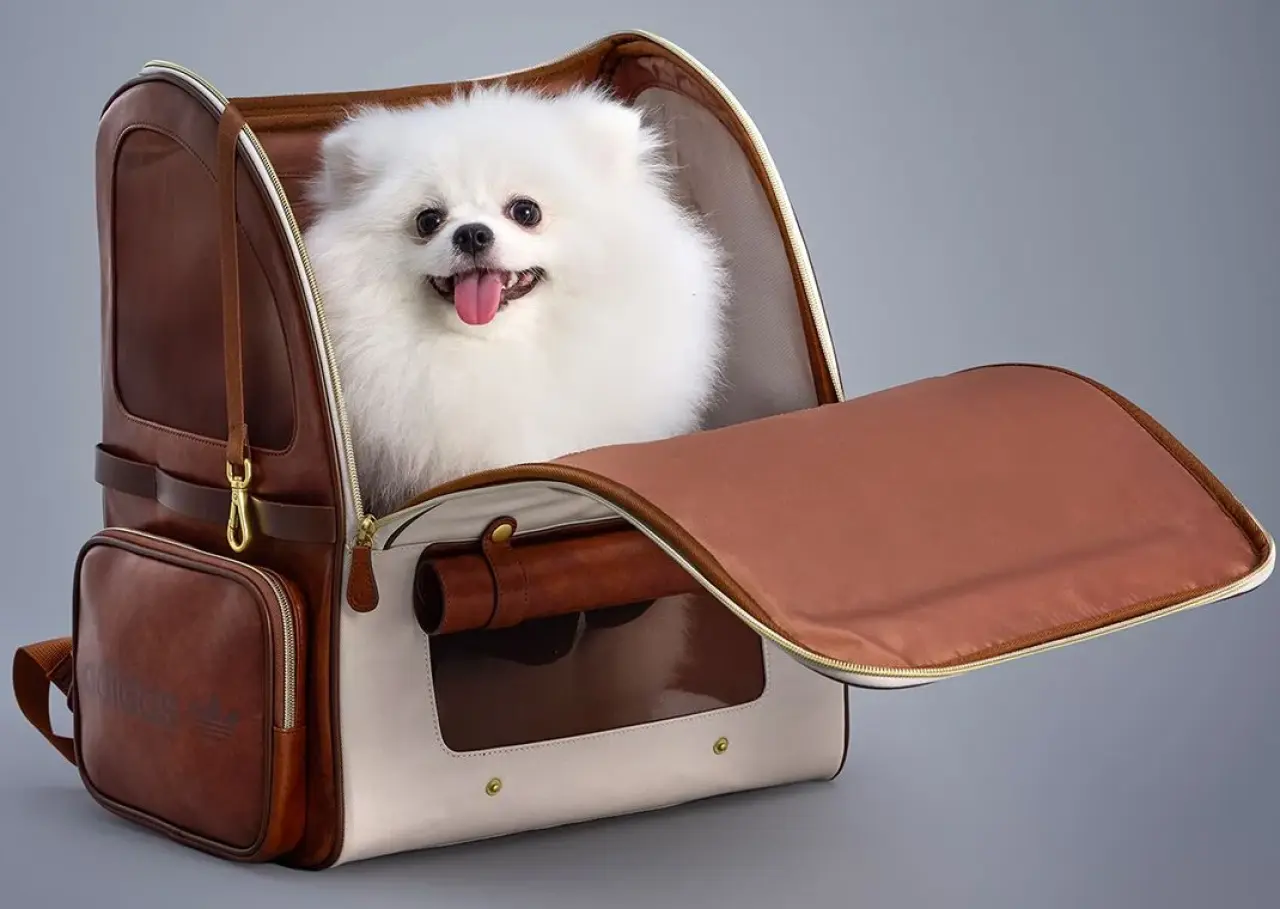 Adidas'tan evcil hayvanlara özel koleksiyon 7