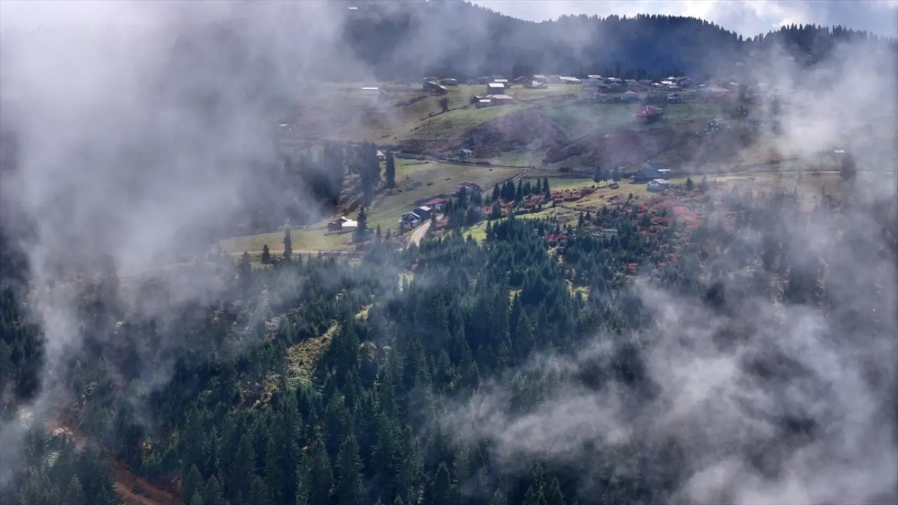 Trabzon'un yüksek kesimleri sonbahar renkleriyle büyülüyor 5