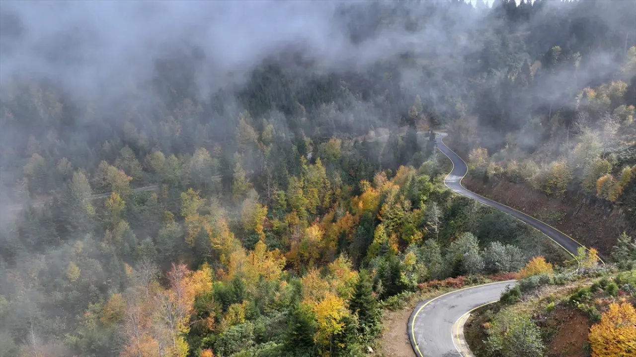 Trabzon'un yüksek kesimleri sonbahar renkleriyle büyülüyor 3