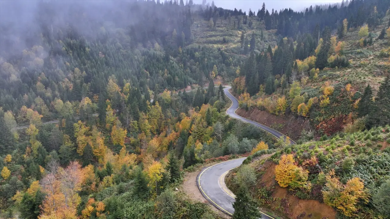 Trabzon'un yüksek kesimleri sonbahar renkleriyle büyülüyor 1