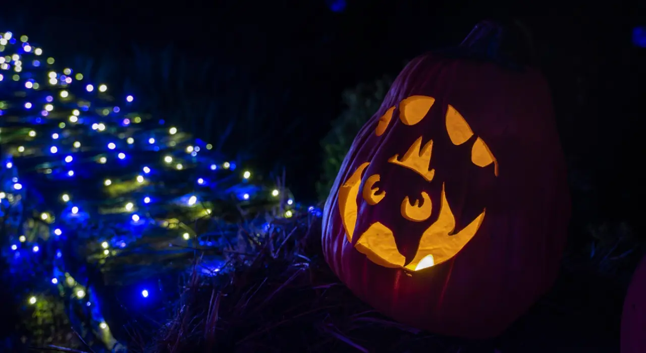 Cadılar Bayramı 2025: Halloween ne zaman ve neden kutlanıyor? 4