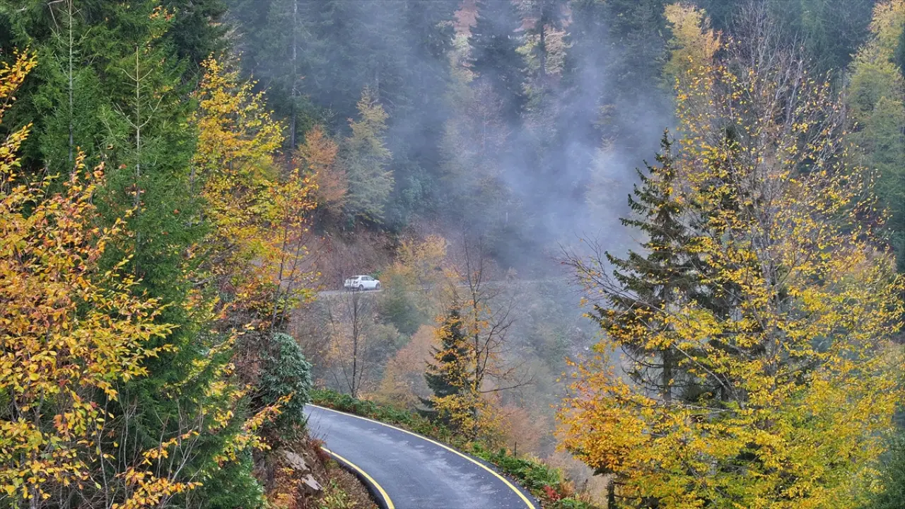 Trabzon'un yüksek kesimleri sonbahar renkleriyle büyülüyor 10
