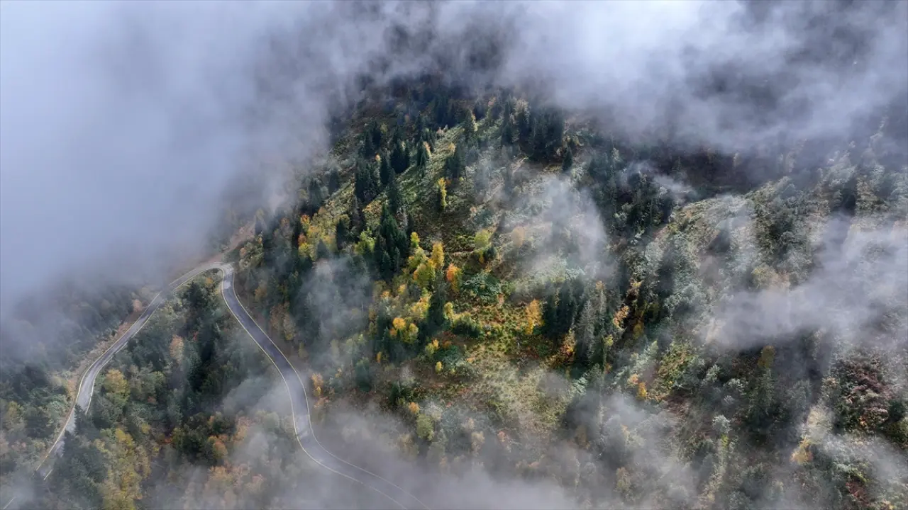 Trabzon'un yüksek kesimleri sonbahar renkleriyle büyülüyor 4