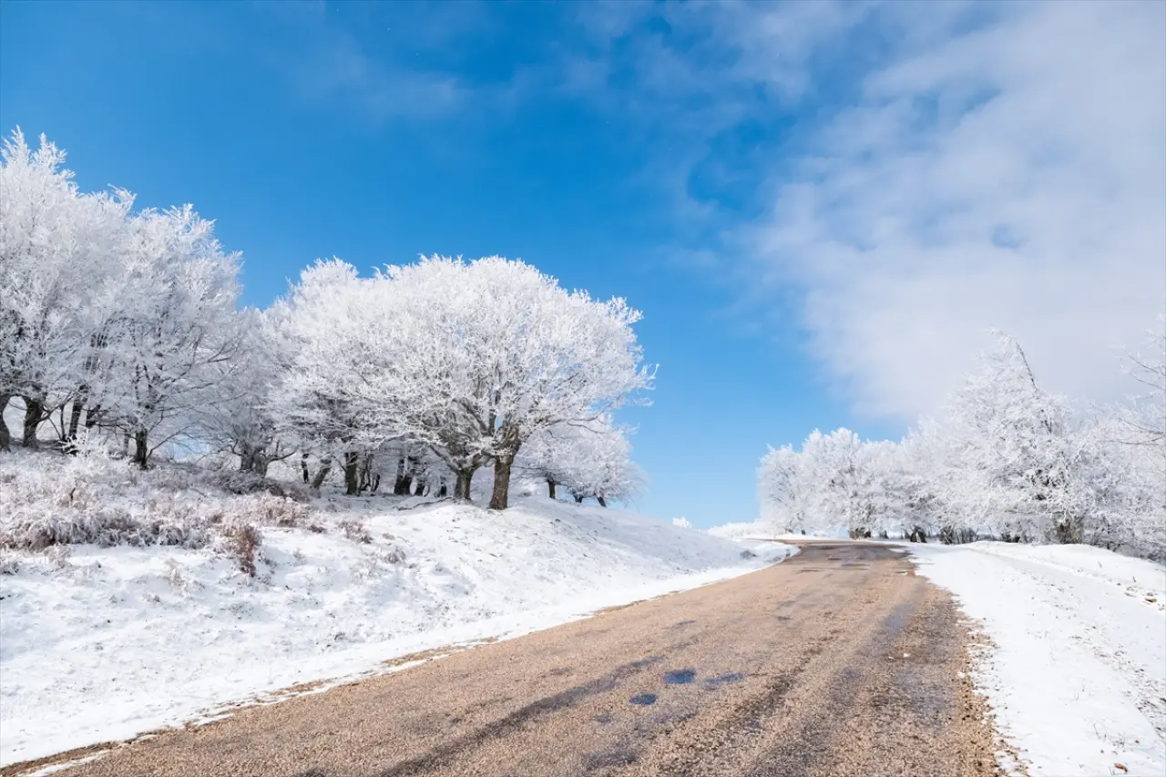 Istranca Ormanları'nda bir kış masalı: Beyaz örtü büyüledi 6