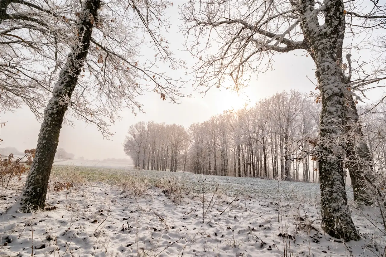 Istranca Ormanları'nda bir kış masalı: Beyaz örtü büyüledi 1