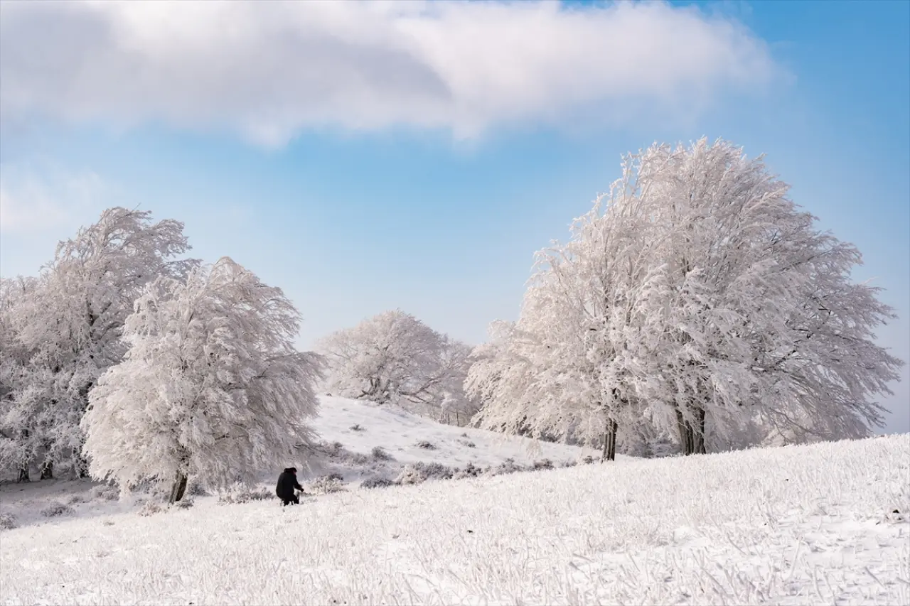 Istranca Ormanları'nda bir kış masalı: Beyaz örtü büyüledi 5