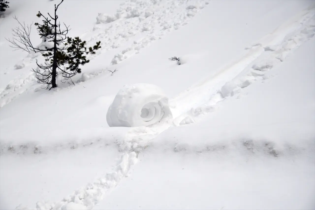 Ilgaz Dağı'nda nadir doğa olayı: Kar ruloları hayran bıraktı 7