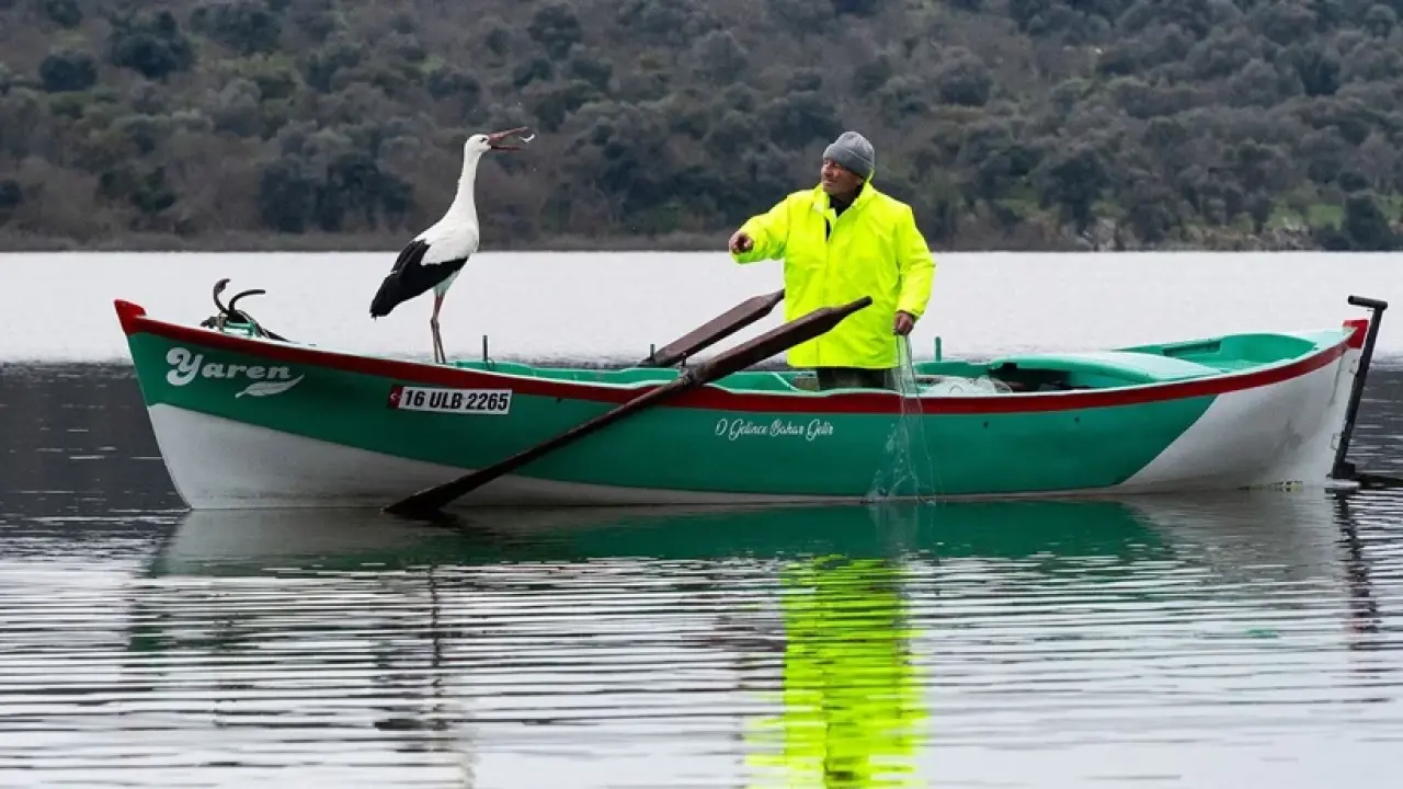 Yaren Leylek 15. yılında da göçten döndü 2