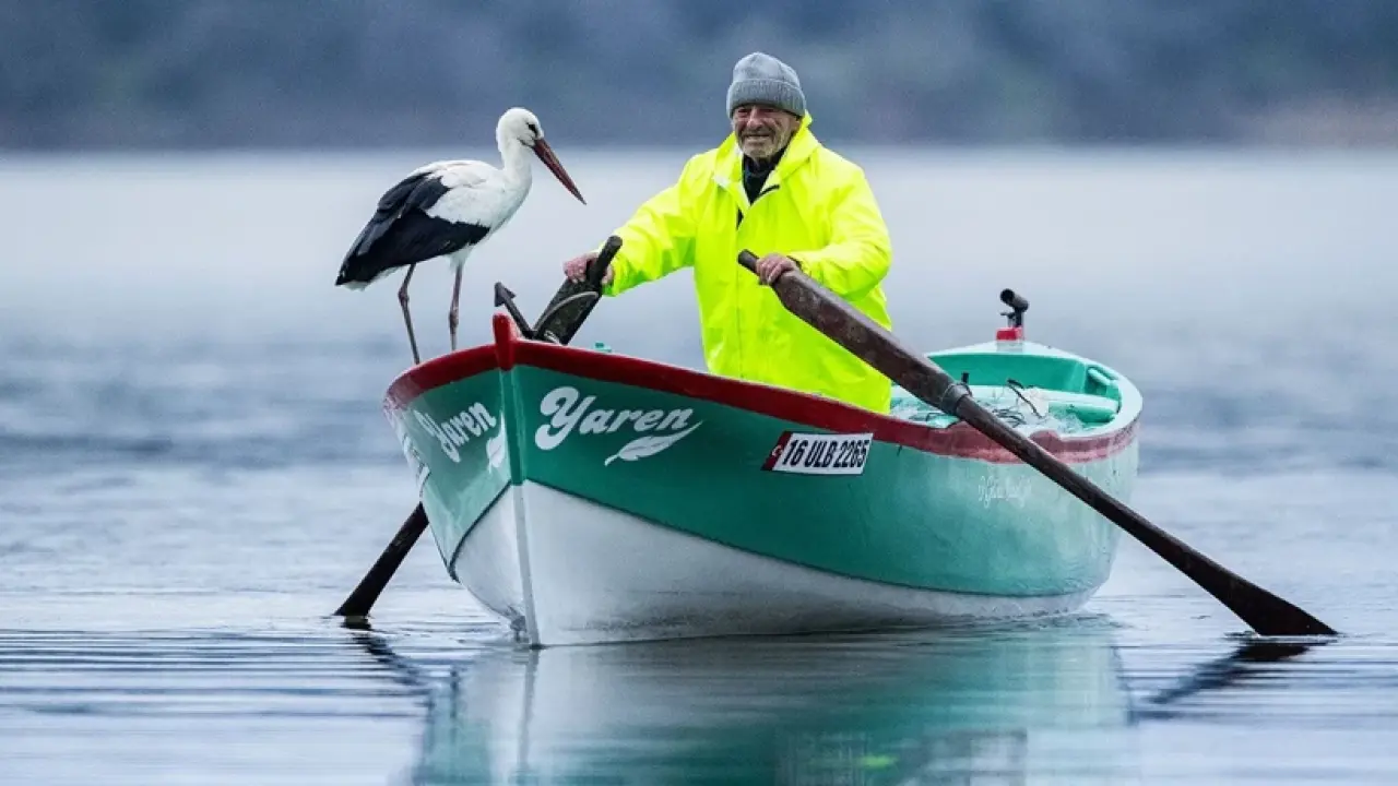 Yaren Leylek 15. yılında da göçten döndü 4