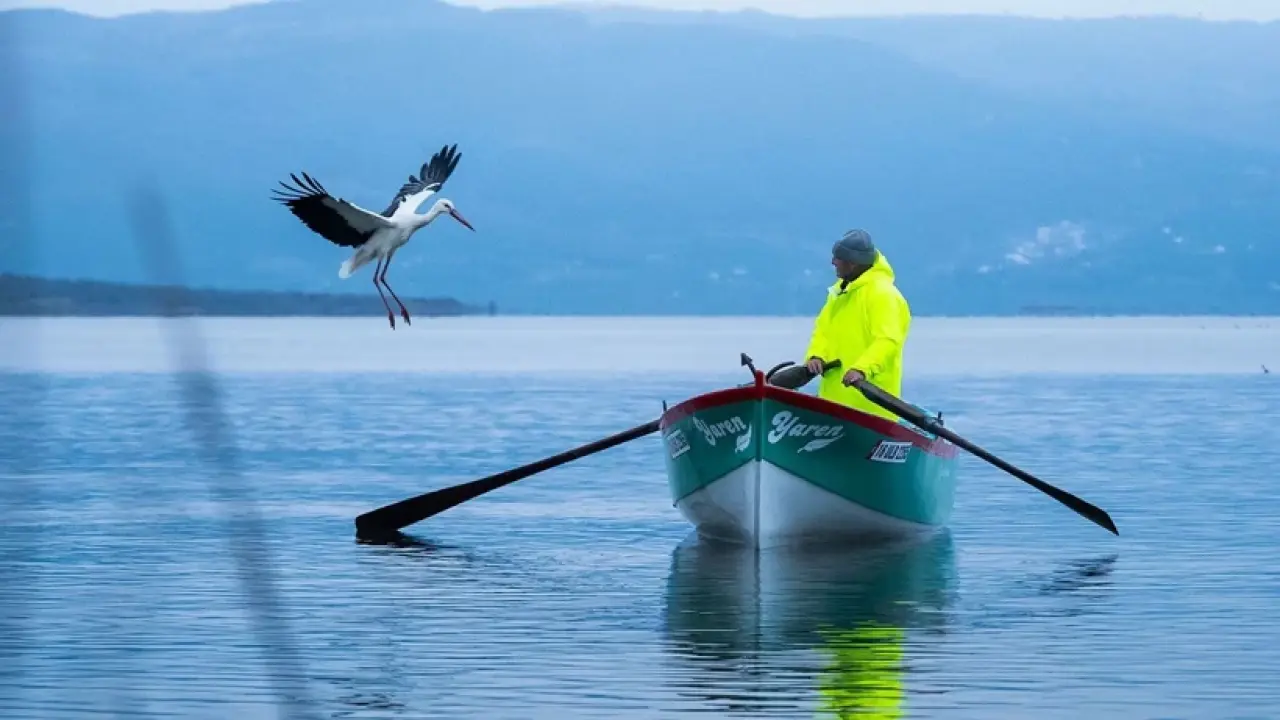 Yaren Leylek 15. yılında da göçten döndü 3